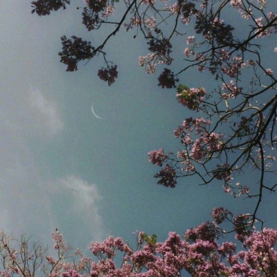 原宿风好看风景花朵朋友圈配图（二）