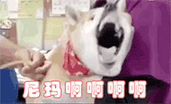 微信搞笑无厘头表情包6/3（一）