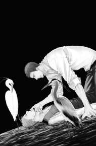 鸣鸟不飞黑白图壁纸