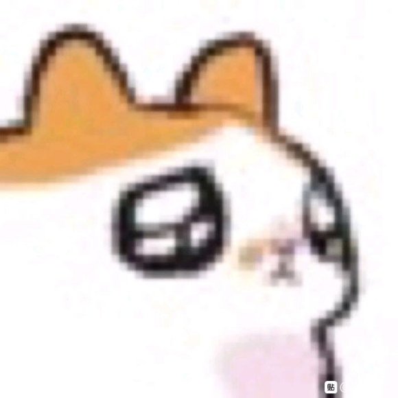 微信近期斗图恶搞表情包2020/6/6