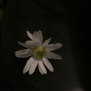 暗黑系唯美背景图