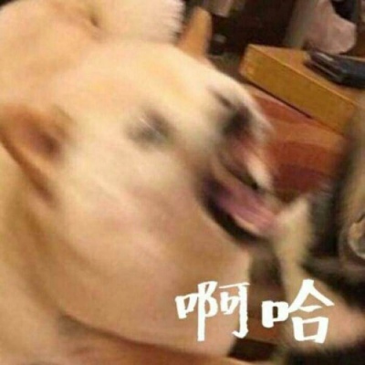 一组搞怪可爱搞笑情侣头像