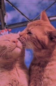 个性梦幻唯美紫色天空背景图