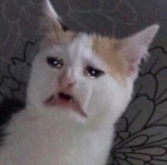 伤心猫微信表情包