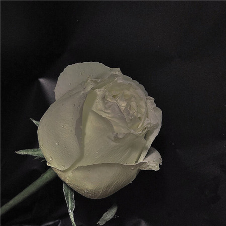 黑色系ins最潮微信朋友圈配图