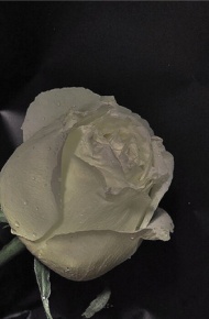 黑色系ins最潮微信朋友圈配图