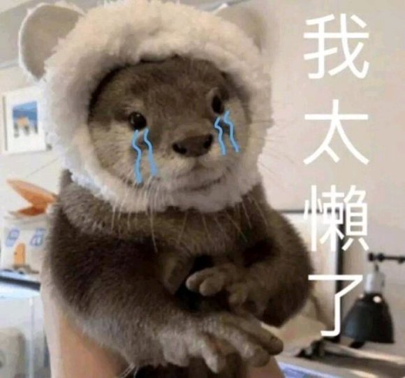 微信搞笑群聊斗图表情包2020/7/28（二）