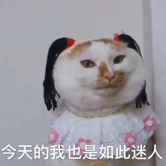 微信近期斗图恶搞表情2020/8/15（二）