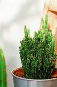 小清新的微信朋友圈配图