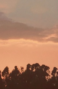 微信唯美好看最潮景物朋友圈配图