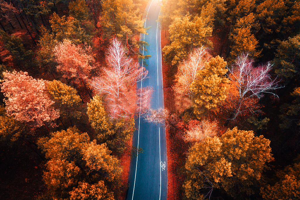 文艺唯美的简约微信相册封面图