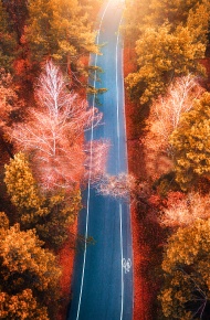 文艺唯美的简约微信相册封面图