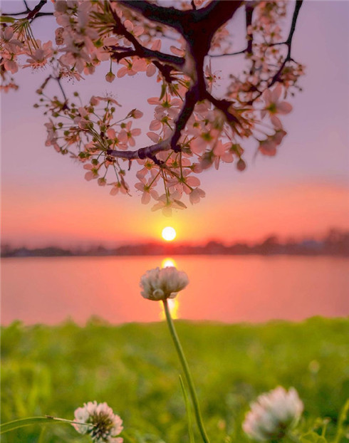 日落黄昏唯美朋友圈背景图