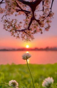 日落黄昏唯美朋友圈背景图