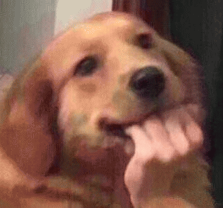 聊天微信表情包