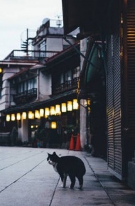 街景图片唯美伤感朋友圈背景图