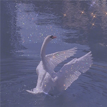 女生小清新唯美亮晶晶微信图片素材