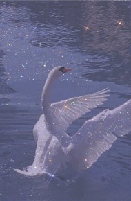 女生小清新唯美亮晶晶微信图片素材