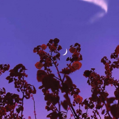 适合爸爸妈妈的风景微信头像