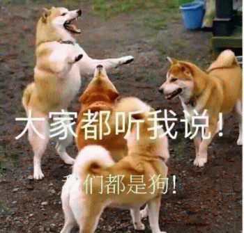 狗狗的沙雕日常斗图微信表情包