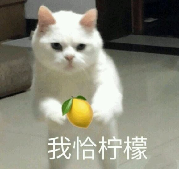 微信近期斗图恶搞表情2020/9/14（二）