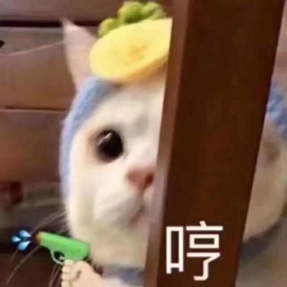 知错不改微信聊天表情包