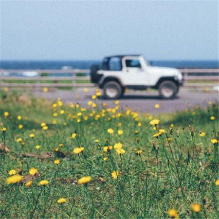 有意境唯美简单干净的风景微信朋友圈聊天背景图