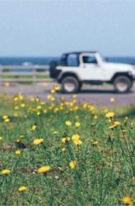 有意境唯美简单干净的风景微信朋友圈聊天背景图