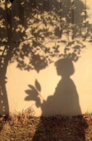 伤感忧伤唯美光影微信聊天背景图