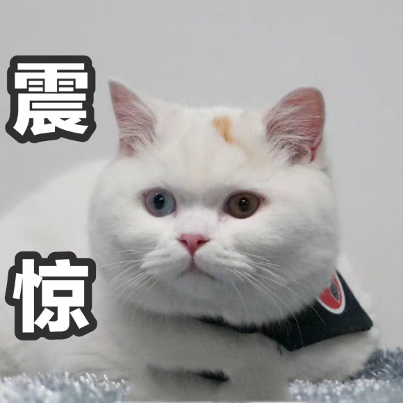 震惊微信聊天表情包