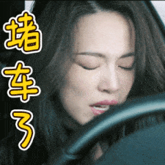堵车系列搞笑微信表情包