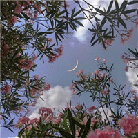 ins风唯美意境微信头像