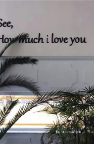 唯美且伤感的微信聊天背景图