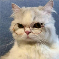 迷人可爱有趣呆萌喵星人微信头像