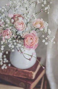 清新文静干净高雅的微信朋友圈配图