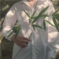 文艺范清新男生微信头像