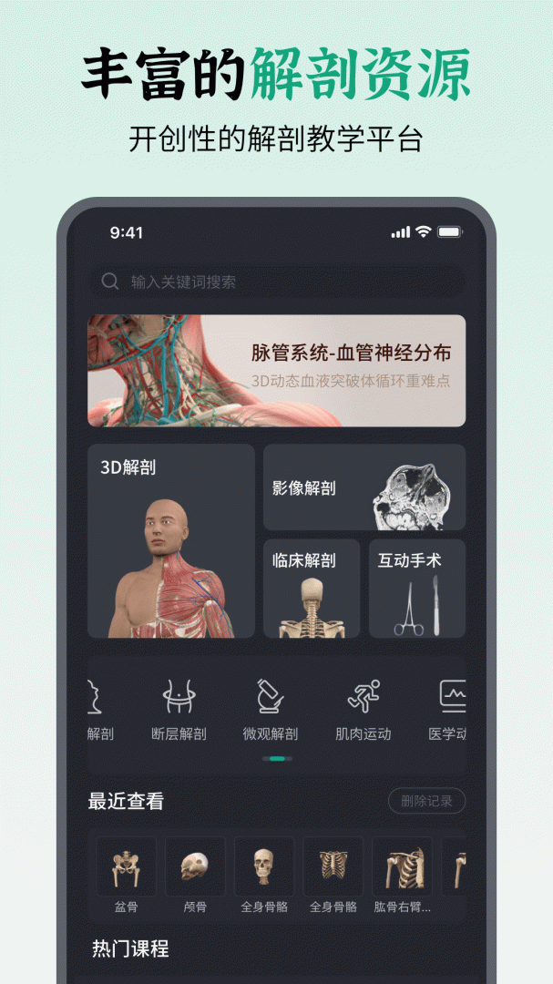 万康人体解剖