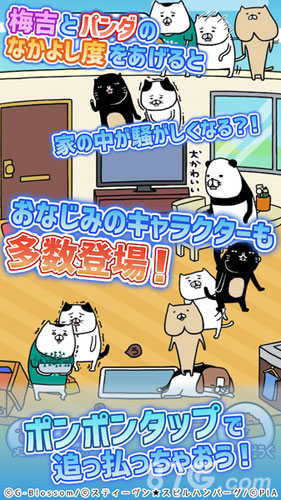 熊猫与狗狗的美好人生