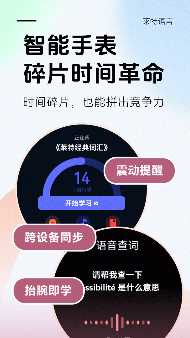 莱特法语背单词