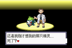 口袋妖怪蛇纹木修改器版