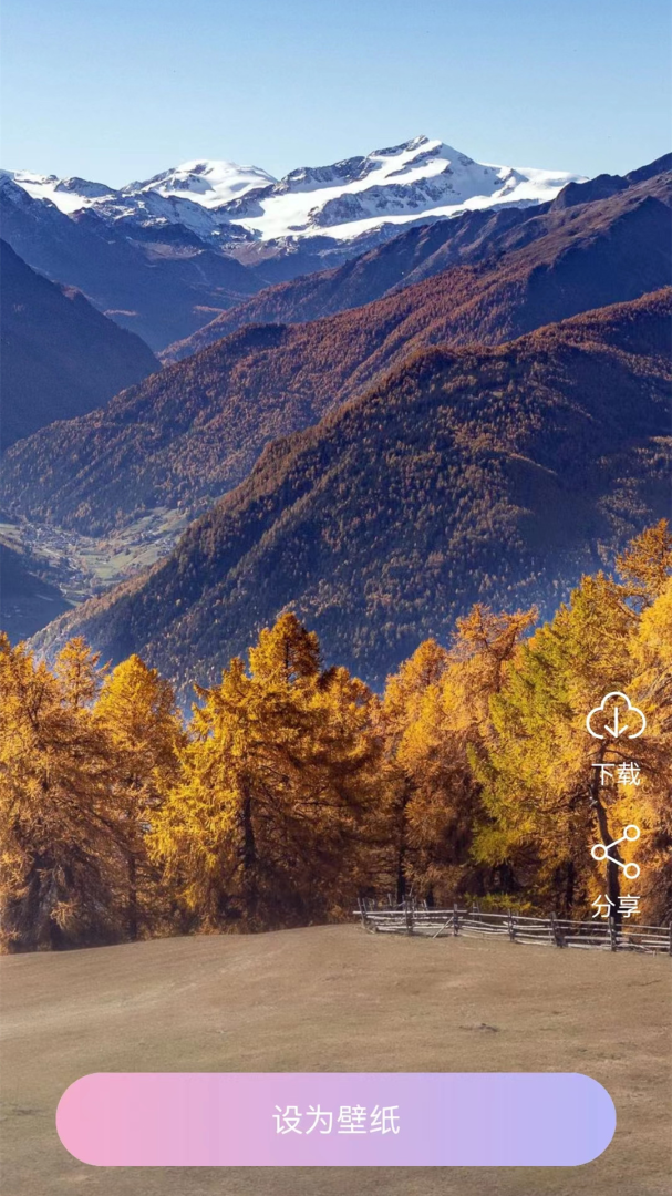 高清动态壁纸软件