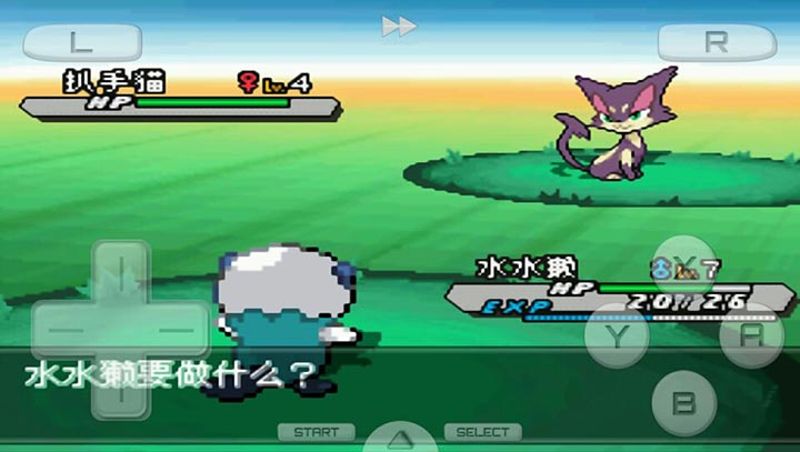 口袋妖怪黑2(通关精灵)