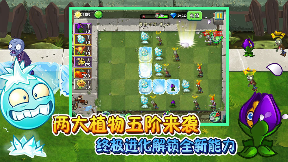 植物大战僵尸95版经典版