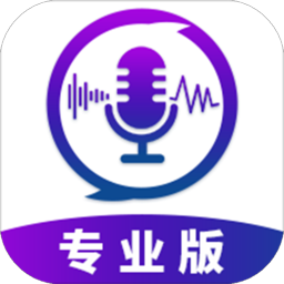 王者变声器开麦就变的那种