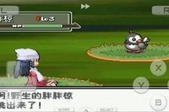 《口袋妖怪心金》金手指代码大全一览