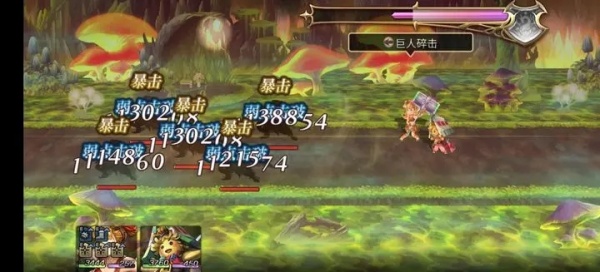 另一个伊甸：超越时空的猫