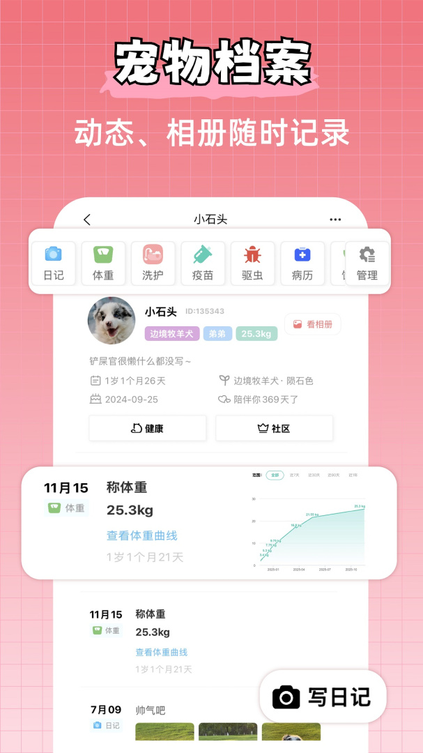 宠物王国