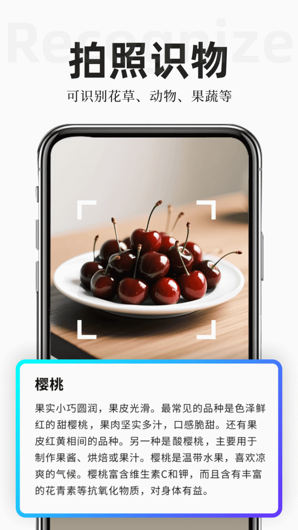 扫描专家