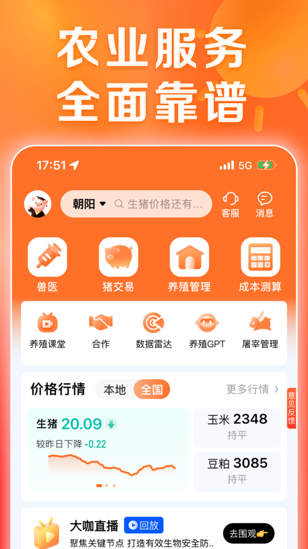 猪博士