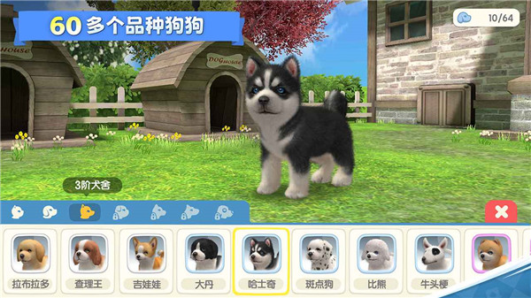 梦幻小狗无限钻石版